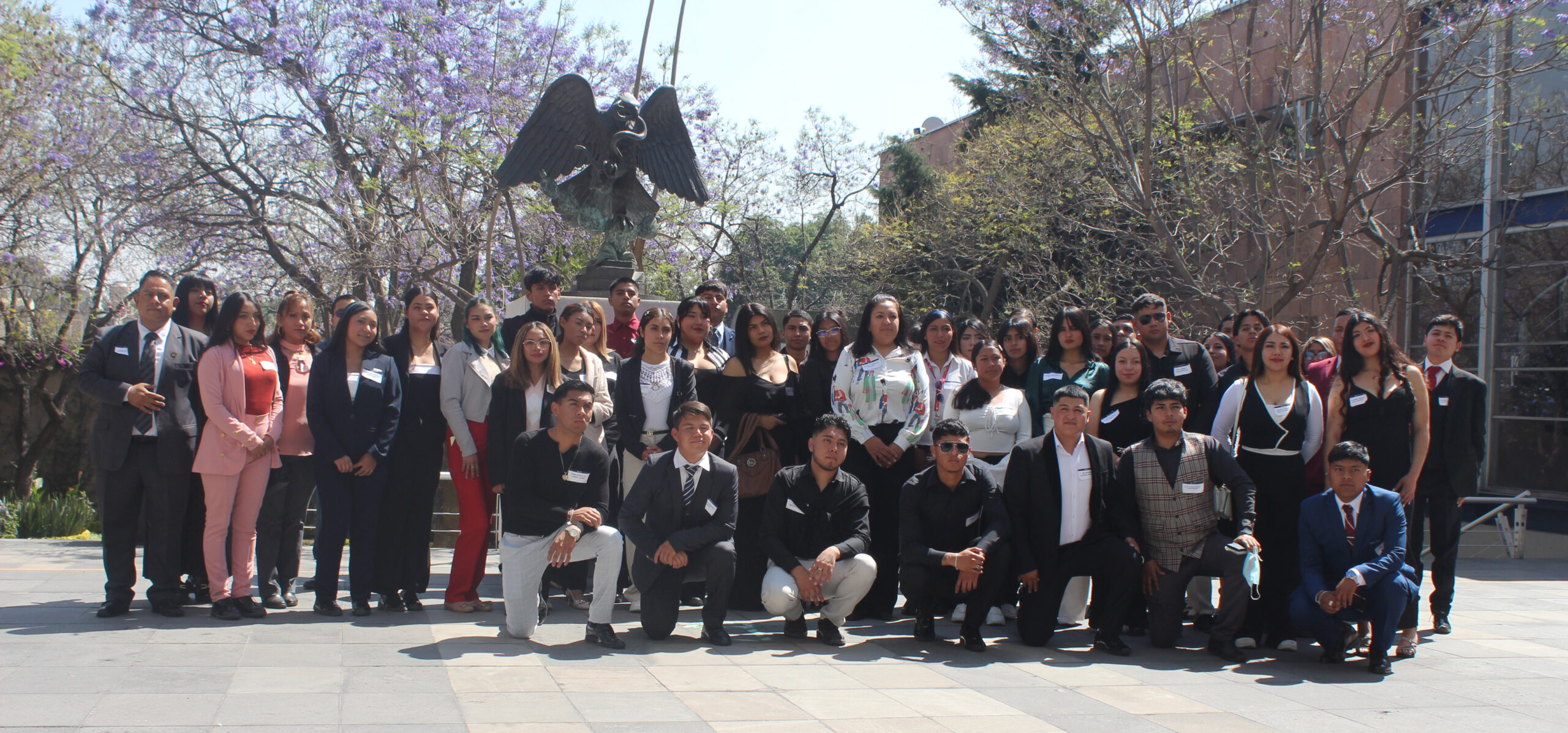 Experiencia acadรฉmica en el Tribunal Electoral